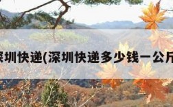 深圳快递(深圳快递多少钱一公斤)