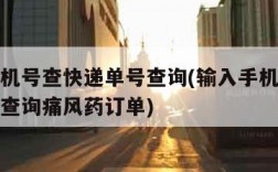 输入手机号查快递单号查询(输入手机号查快递单号查询痛风药订单)