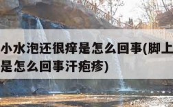 脚上起小水泡还很痒是怎么回事(脚上起小水泡很痒是怎么回事汗疱疹)