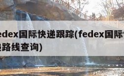 fedex国际快递跟踪(fedex国际快递路线查询)