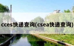 cces快递查询(csea快递查询)