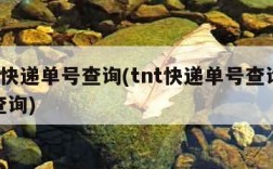 tnt快递单号查询(tnt快递单号查询跟踪查询)