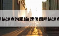 国际快递查询跟踪(速优国际快递查询)