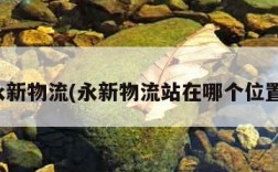 永新物流(永新物流站在哪个位置)