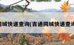 吉通同城快递查询(吉通同城快递查询官网)