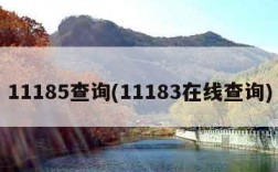 11185查询(11183在线查询)