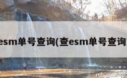 esm单号查询(查esm单号查询)