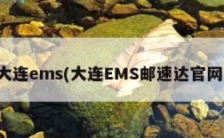 大连ems(大连EMS邮速达官网)