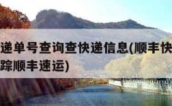 顺丰速递单号查询查快递信息(顺丰快递单号查询跟踪顺丰速运)