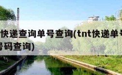 tnt快递查询单号查询(tnt快递单号查询号码查询)