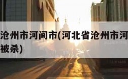 河北省沧州市河间市(河北省沧州市河间市公安局长被杀)