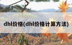 dhl价格(dhl价格计算方法)