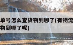 有物流单号怎么查货物到哪了(有物流单号怎么查货物到哪了呢)