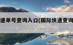 国际快递单号查询入口(国际快递查询输入单号)