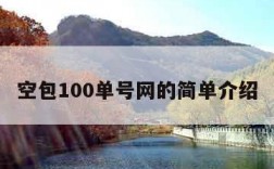 空包100单号网的简单介绍