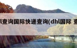 dhl查询国际快递查询(dhl国际 查询)