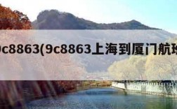 9c8863(9c8863上海到厦门航班)