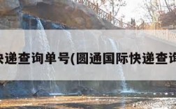 国际快递查询单号(圆通国际快递查询单号)