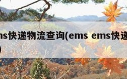 ems快递物流查询(ems ems快递查询)