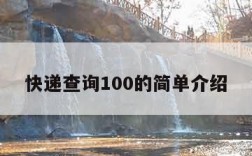 快递查询100的简单介绍