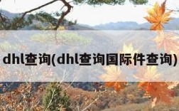 dhl查询(dhl查询国际件查询)