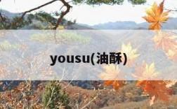 yousu(油酥)