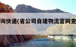 官网查询快递(省公司自建物流官网查询快递)