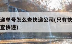 只有快递单号怎么查快递公司(只有快递运单号怎么查快递)