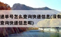 没有快递单号怎么查询快递信息(没有快递单号怎么查询快递信息呢)