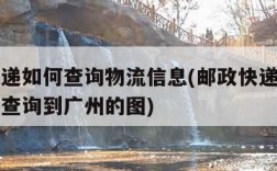 邮政快递如何查询物流信息(邮政快递查询物流信息查询到广州的图)