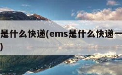 ems是什么快递(ems是什么快递一般几天到)