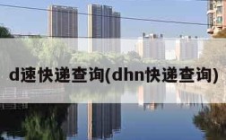 d速快递查询(dhn快递查询)