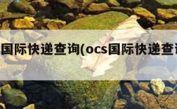 ocs国际快递查询(ocs国际快递查询网址)