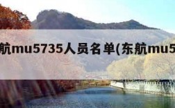 东航mu5735人员名单(东航mu5750)