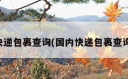 国内快递包裹查询(国内快递包裹查询系统)