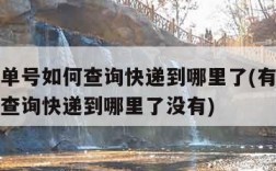 有快递单号如何查询快递到哪里了(有快递单号如何查询快递到哪里了没有)