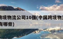 中国跨境物流公司10强(中国跨境物流公司10强有哪些)