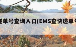 查快递单号查询入口(EMS查快递单号查询入口)