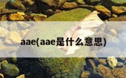 aae(aae是什么意思)