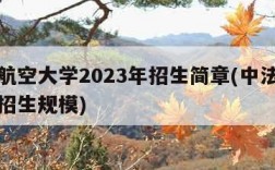 中法航空大学2023年招生简章(中法航空大学招生规模)