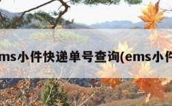 ems小件快递单号查询(ems小件)