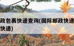 国际邮政包裹快递查询(国际邮政快递单号查询爱查快递)