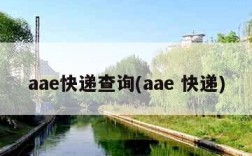 aae快递查询(aae 快递)