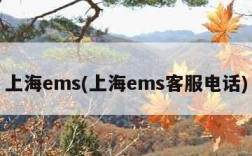 上海ems(上海ems客服电话)