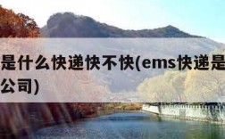 ems是什么快递快不快(ems快递是什么快递公司)