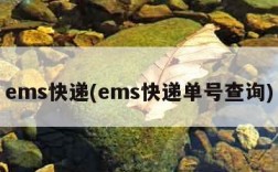 ems快递(ems快递单号查询)