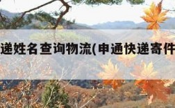 申通快递姓名查询物流(申通快递寄件人信息查询)