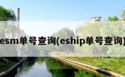 esm单号查询(eship单号查询)